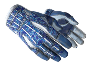 ★ Sport Gloves | Amphibious (Field-Tested)